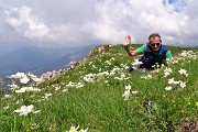 CORNA GRANDE (2089 m) ai Piani di Bobbio da Ceresola di Valtorta il 15 giugno 2018- FOTOGALLERY